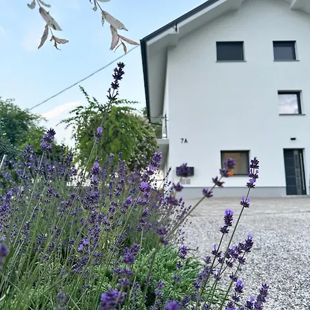 Forest Hill Apartment, Near Ljubljana, New * Dol pri Ljubljani