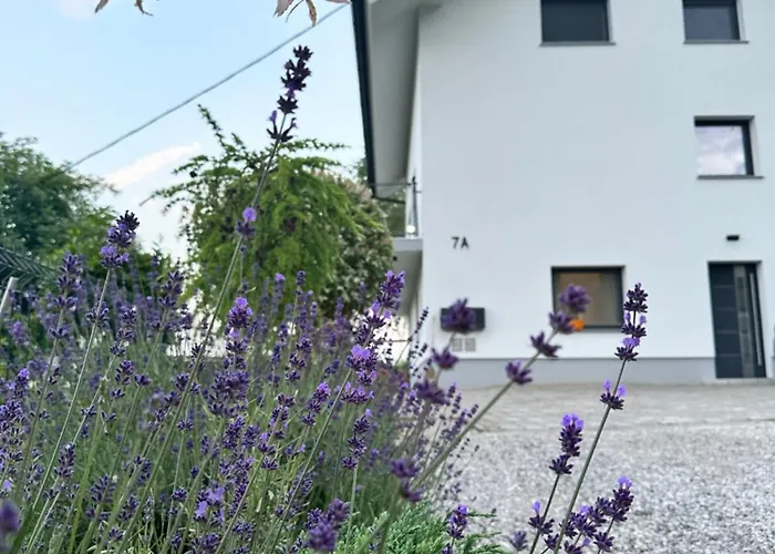 Forest Hill Apartment, Near Ljubljana, New * Dol pri Ljubljani