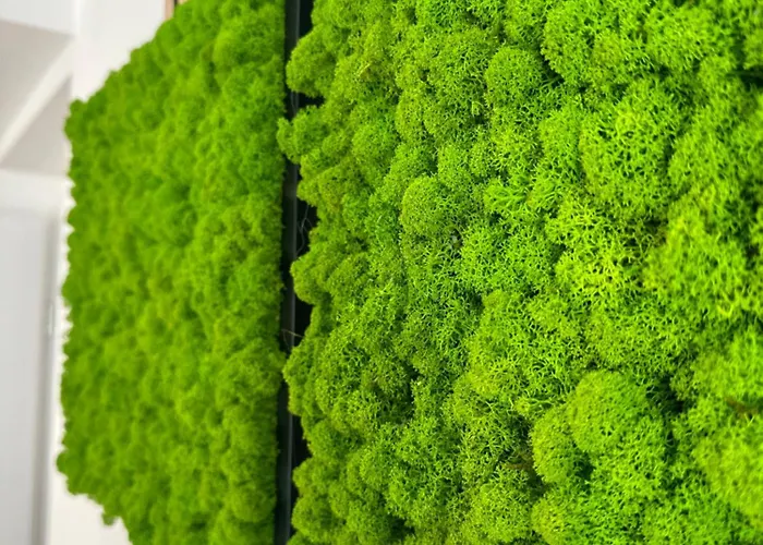 Forest Hill Apartment, Near Ljubljana, New Dol pri Ljubljani